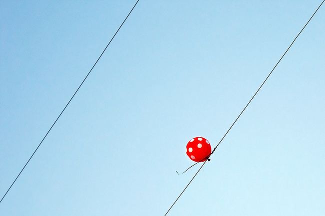 CC Flickr apr77 CC Flickr apr77