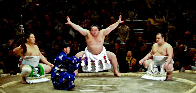 © tanuki-tanukette © tanuki-tanukette