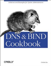 Nouveau DNS Secondaire Nouveau DNS Secondaire