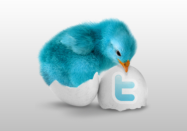 Postez directement vos articles dans Twitter