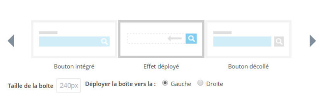 Moteur de recherche : Effet déployé Moteur de recherche : Effet déployé