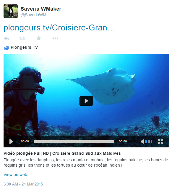 Twitter Card disponibles sur les WebTV Twitter Card disponibles sur les WebTV