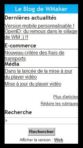 Version mobile personnalisable ! Version mobile personnalisable !