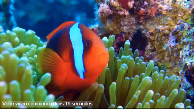 Plongeurs.tv Plongeurs.tv