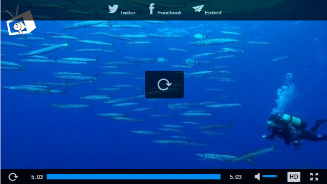 Plongeurs.tv Plongeurs.tv