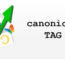 Eviter le duplicate content avec la balise link rel="canonical" Eviter le duplicate content avec la balise link rel="canonical"
