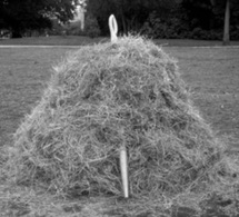 Recherche avancée Recherche avancée