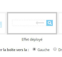 Moteur de recherche : Effet déployé Moteur de recherche : Effet déployé