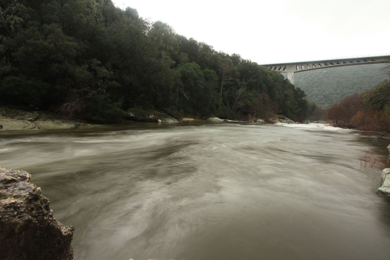 IMG_4115.jpg IMG_4115.jpg