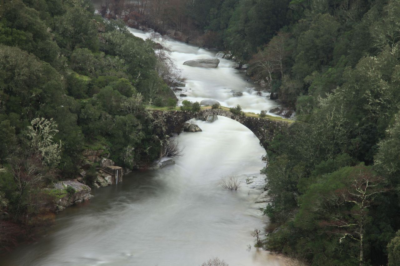 IMG_4158.jpg IMG_4158.jpg