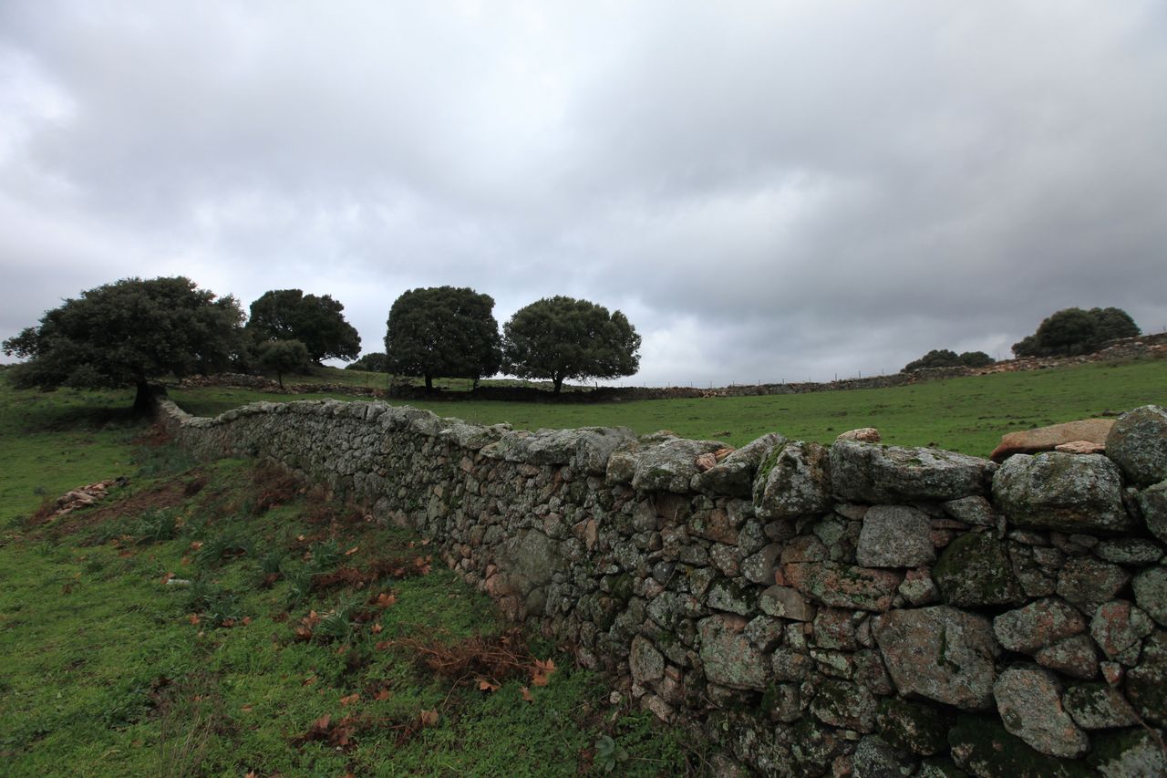 IMG_4041.jpg IMG_4041.jpg