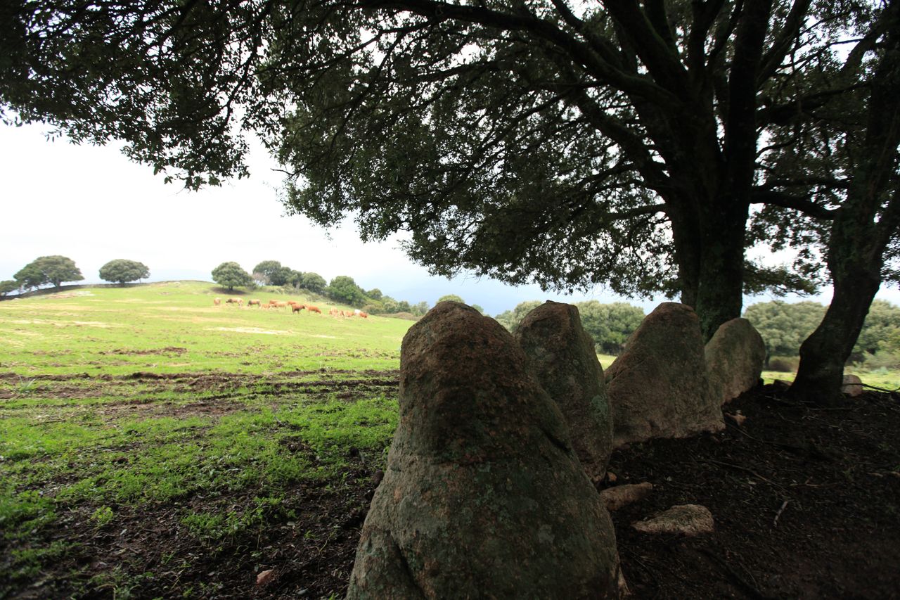 IMG_4072.jpg IMG_4072.jpg