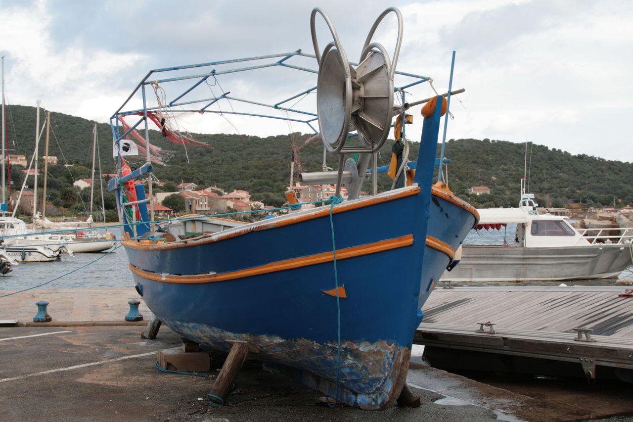 IMG_3426.jpg IMG_3426.jpg