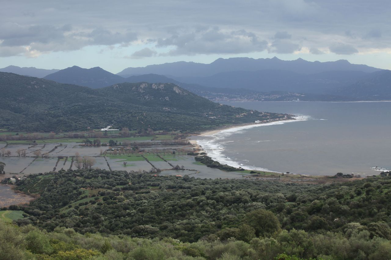 IMG_3962.jpg IMG_3962.jpg