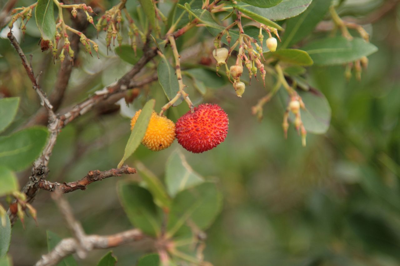 IMG_3432.jpg IMG_3432.jpg