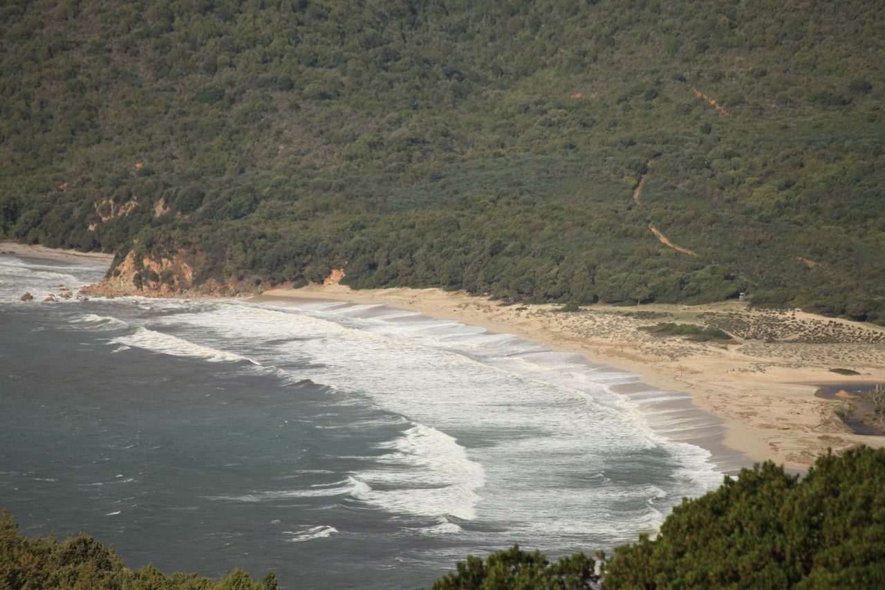 IMG_3979.jpg IMG_3979.jpg